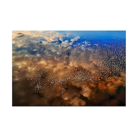 Phillip Chang 'Flamingos Over The Clouds' Canvas Art, 16x24